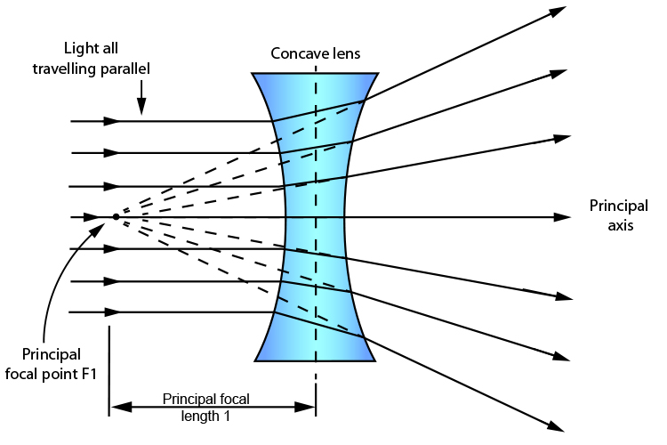 Parallel light rays enter a concave lens and diverge as they exit it